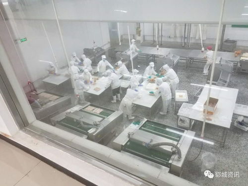 紅盾護(hù)企 食品生產(chǎn)科在行動，保障電熔鎂生產(chǎn)安全