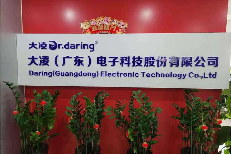 大凌(廣東)電子科技股份有限公司