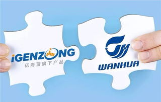 萬華聯手億海藍打造可視化物流,提升數字供應鏈管理能力
