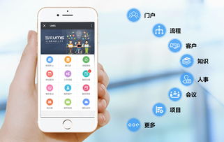 上海互聯(lián)網(wǎng)軟件集團(tuán) 高端協(xié)同管理軟件產(chǎn)品和咨詢服務(wù)提供商