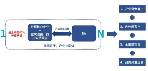 1 n平臺助力檸檬產業煥發 鮮 機