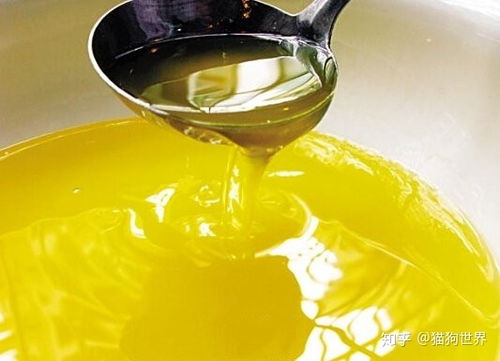 國內質量好的寵物食品加工oem代工源頭廠家